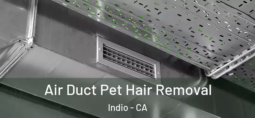 Air Duct Pet Hair Removal Indio - CA