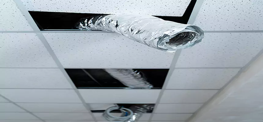 Our Air Duct Pet Hair Removal Services in Indio, CA