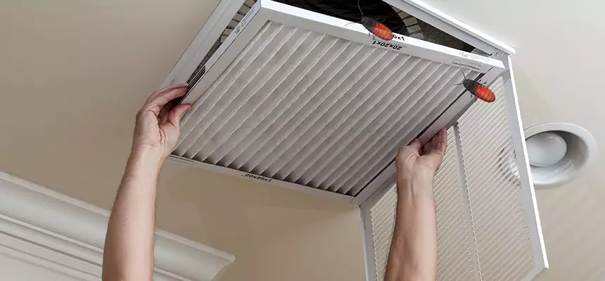 Our Insect Removal from Air Ducts Services in Indio, CA