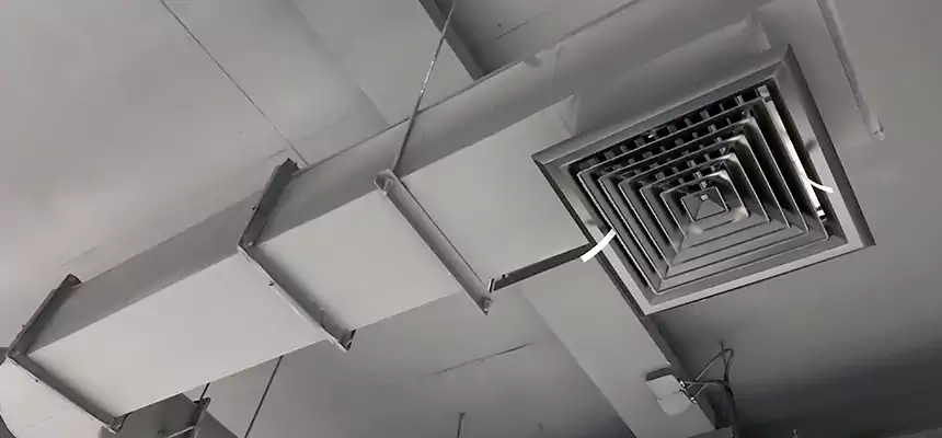 Our Pest Removal From Ducts Services in Indio, CA