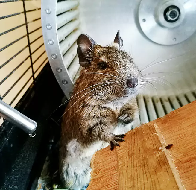 Why Homeowners & Businesses Trust Us Indio, CA