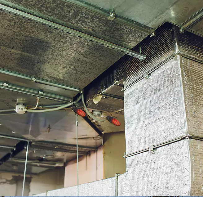 Why Homeowners & Businesses Trust Us Indio, CA?